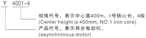 西安泰富西玛Y系列(H355-1000)高压JR127-4三相异步电机型号说明