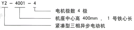 YR系列(H355-1000)高压JR127-4三相异步电机西安西玛电机型号说明